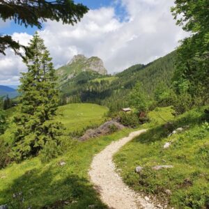 Alpenexkursion 21_008