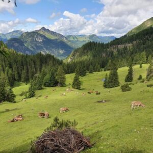 Alpenexkursion 21_009