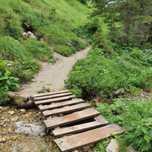 Alpenexkursion 21_012