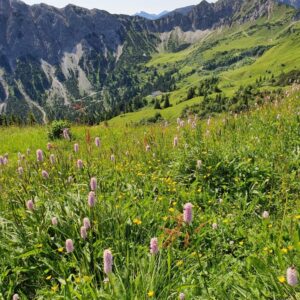 Alpenexkursion 21_013