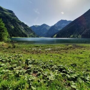 Alpenexkursion 21_018