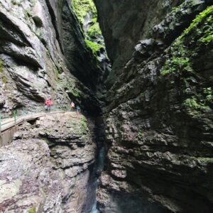 Alpenexkursion 21_020