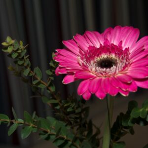 Fruehjahrs-LJA 22_008